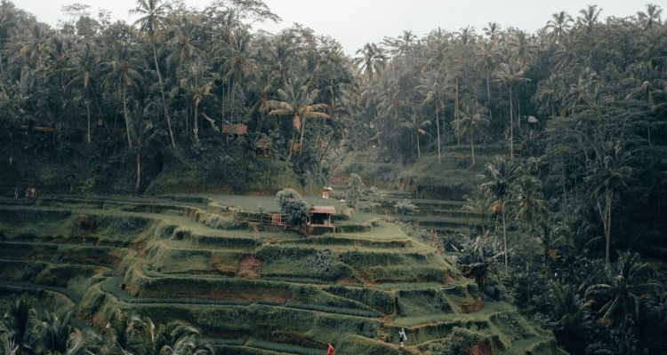 Ubud