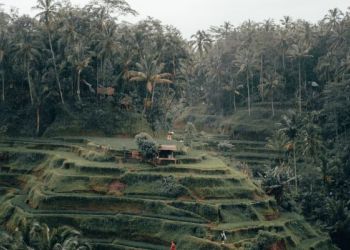 Ubud