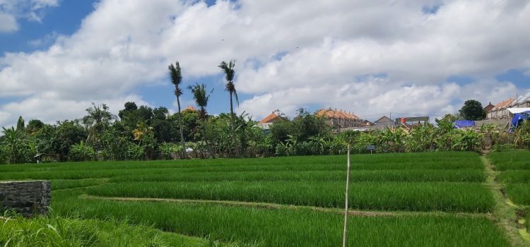 Land for Sale in Bali: Unlock the Hidden Potential
