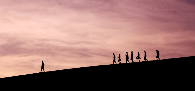 Dream Villa Awaits: Perfect for Families or Solo Travelers
