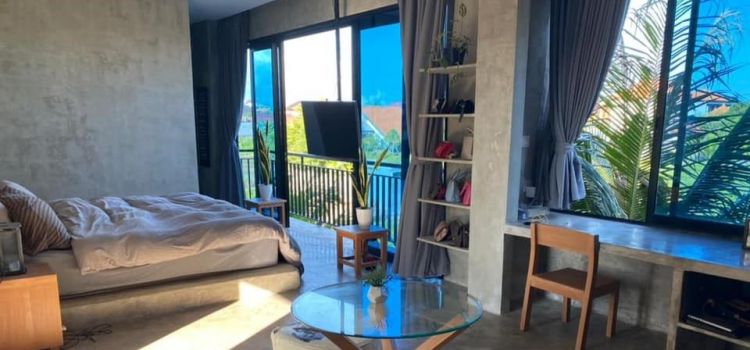Rice Fields View Apartments for Long Term Rental in Canggu