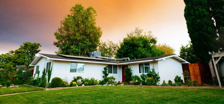 Guide to Surveying Land for Sale in Bali