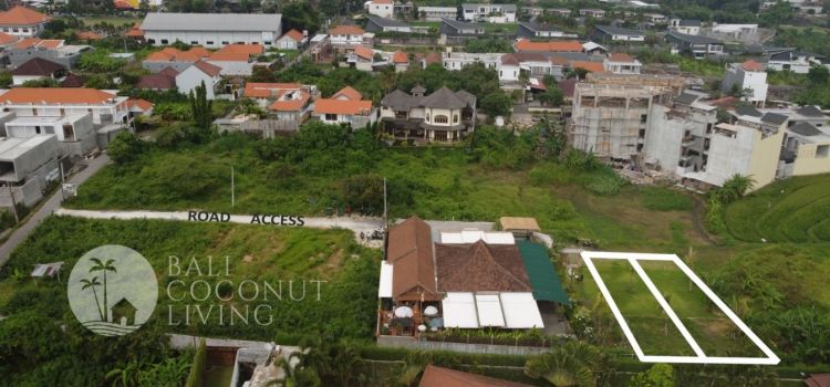 Land for Sale in Bali’s Prime Neighborhood: Canggu
