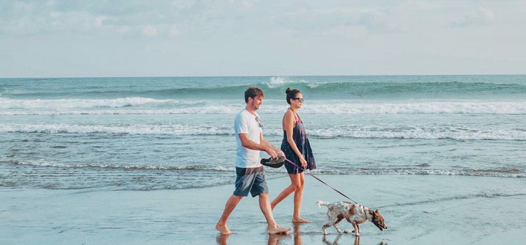 Where To Stay In Canggu