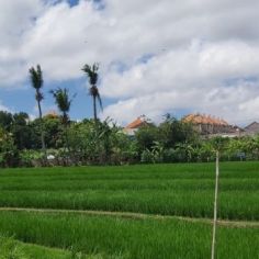 Land for Sale in Bali: Unlock the Hidden Potential