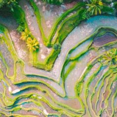 Uluwatu or Canggu For Your Dream Life?