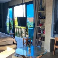 Rice Fields View Apartments for Long Term Rental in Canggu