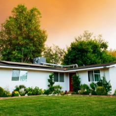 Guide to Surveying Land for Sale in Bali