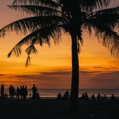 Latest Leasehold Villas in Seminyak