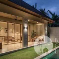 Canggu's Best Long Term Villas for Your Work-from-Bali Agenda