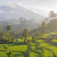 Eco-Friendly Activities To Support Bali Environmental Sustainability 