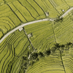 The Allure of Rural Land in Bali 