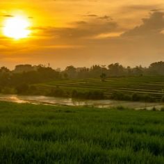 Must-Visit Canggu Villas For Sale