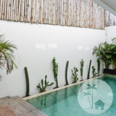 Rent A Villa in Bali's Most Sought-After Areas: Villa Prince Canggu