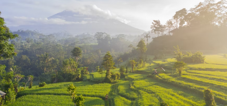 Eco-Friendly Activities To Support Bali Environmental Sustainability 