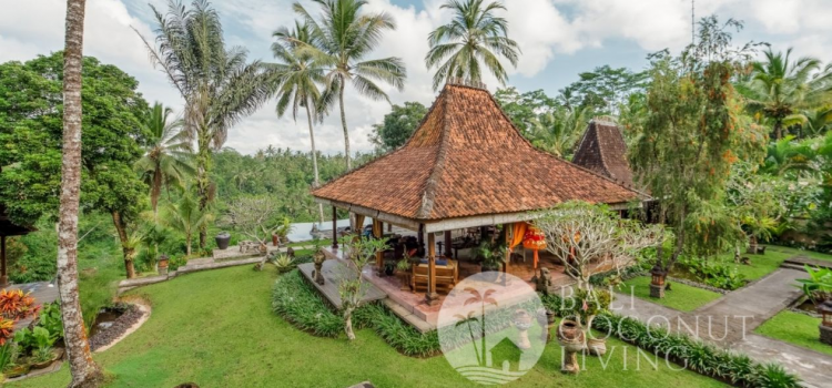 Bali Retirement Villages: A Look at the Best Neighborhood for a Comfortable Life