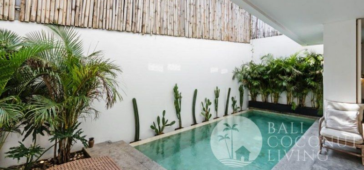 Rent A Villa in Bali's Most Sought-After Areas: Villa Prince Canggu