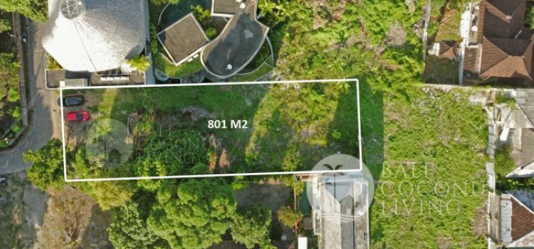 How to Buy Land as a Foreigner in Bali 2024?