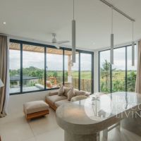 Green Apartment 13 Gallery