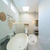 Villa Alelia Gallery