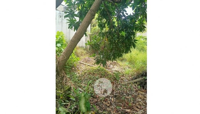 LAND FOR SALE LEASEHOLD 350 SQM  IN FAMOUS BERAWA AREA Slider