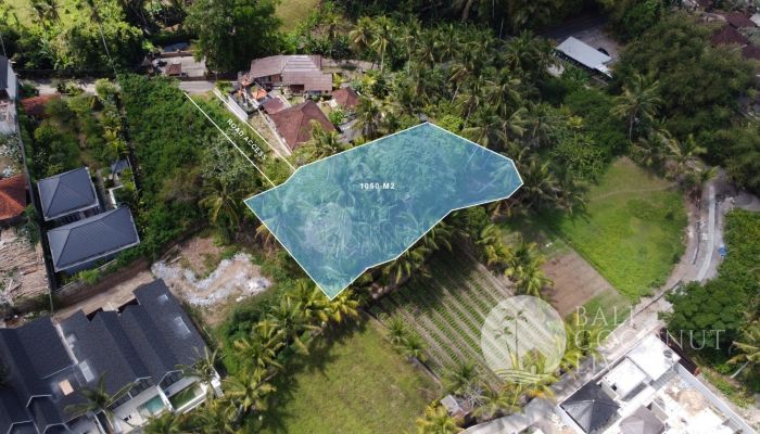10,5 ARE LAND FOR SALE IN ABIANSEMAL- FREEHOLD Slider