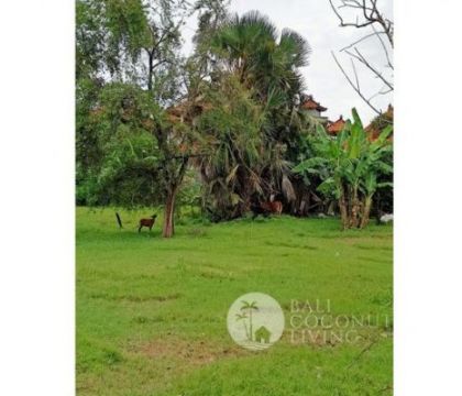 30 Are, Land for lease