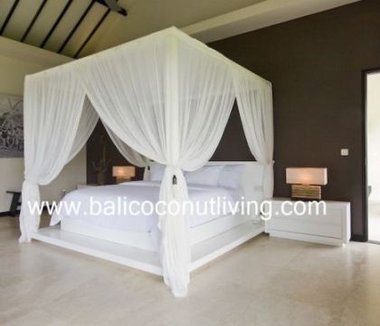 Absolute Villa