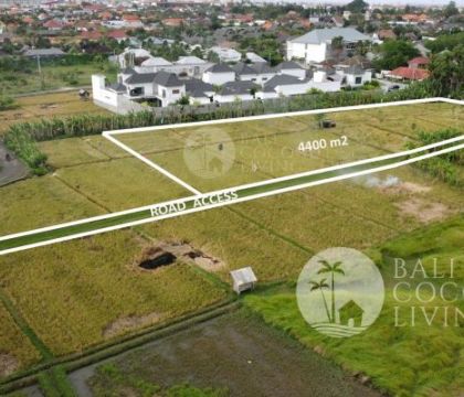 For lease, 44 Are land