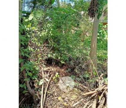Land, 500 Sqm for rent
