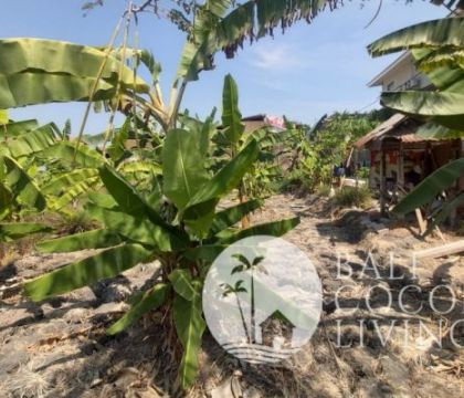 Land for sale 2 are 