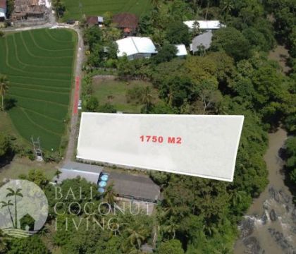 Land For Sale Nyanyi 