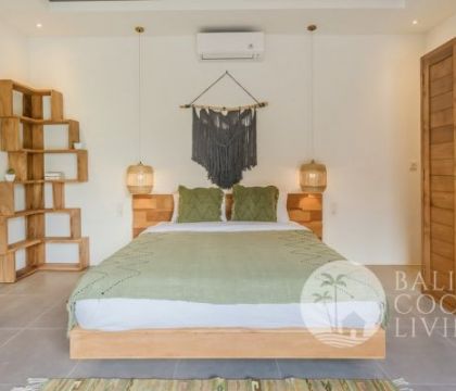 Cotonaster Villa