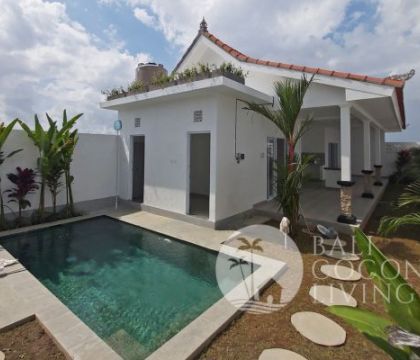 Villa Gomi 1