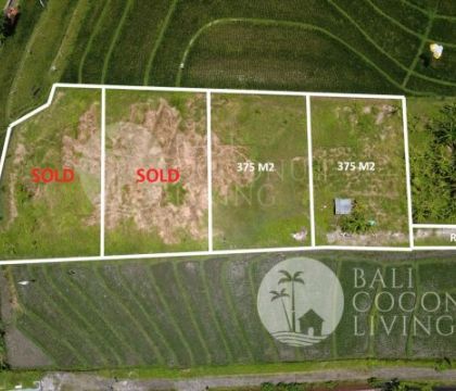 For rent,  375 Sqm Land For Rent