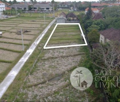 For rent, 560 sqm land