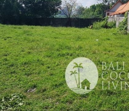 Land  for sale 8,5 are