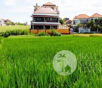 Rumah Padi Bali