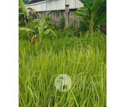 13,40 Are, Land for rent