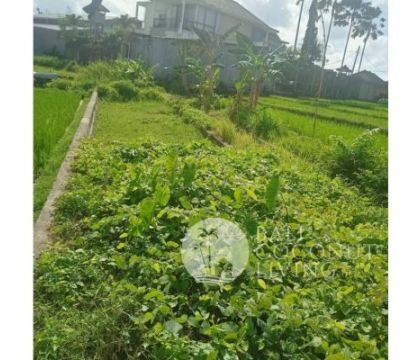 12,5 Are, Land for sale