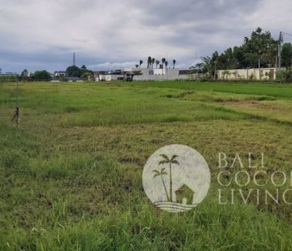 16,80 Are, Land for rent