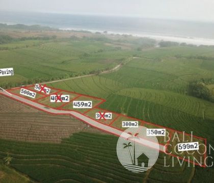 5 Are Land In Tabanan