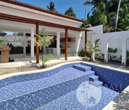 Villa Viaka