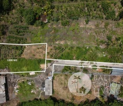 1200 Sqm land, For rent