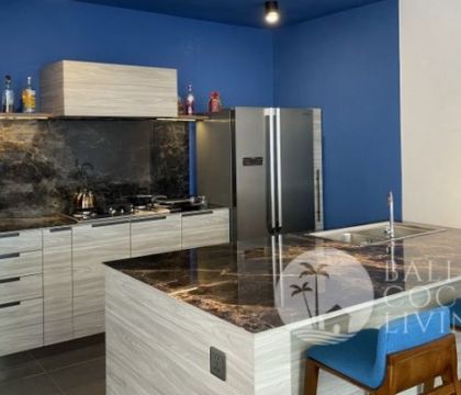 Swan Loft Apartment