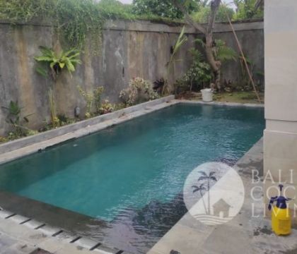 Villa Puri