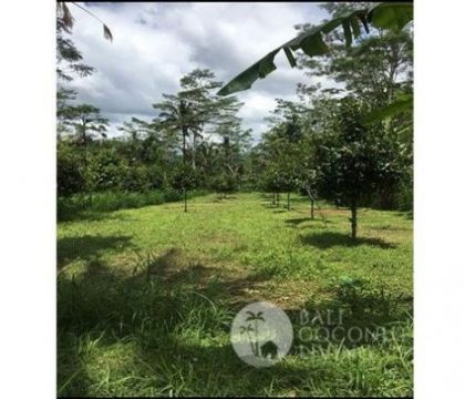 835 Sqm Land for sale