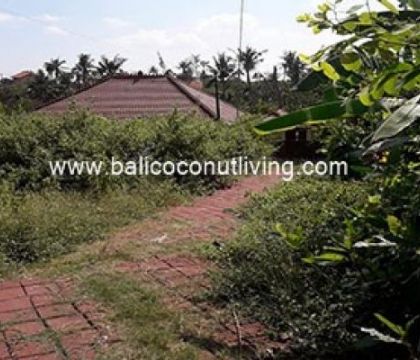 Land for Lease 500 sqm