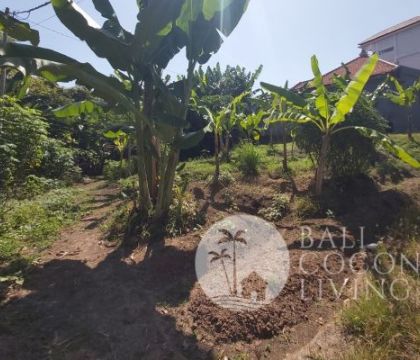 For rent, Land 5 are