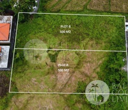 Land Berawa, For sale 500 sqm